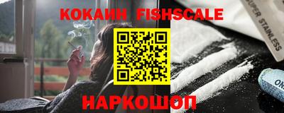 гашик Будённовск