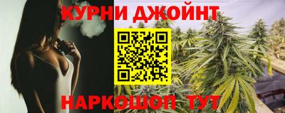 гашик Будённовск