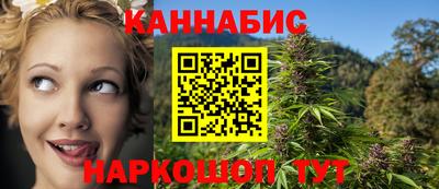 гашик Будённовск