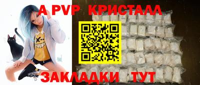 гашик Будённовск