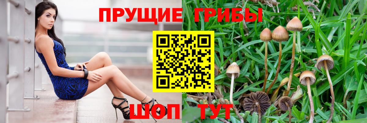 Кореновск  где купить наркотик  Вход с VPN  Псилоцибиновые грибы Magic Shrooms 